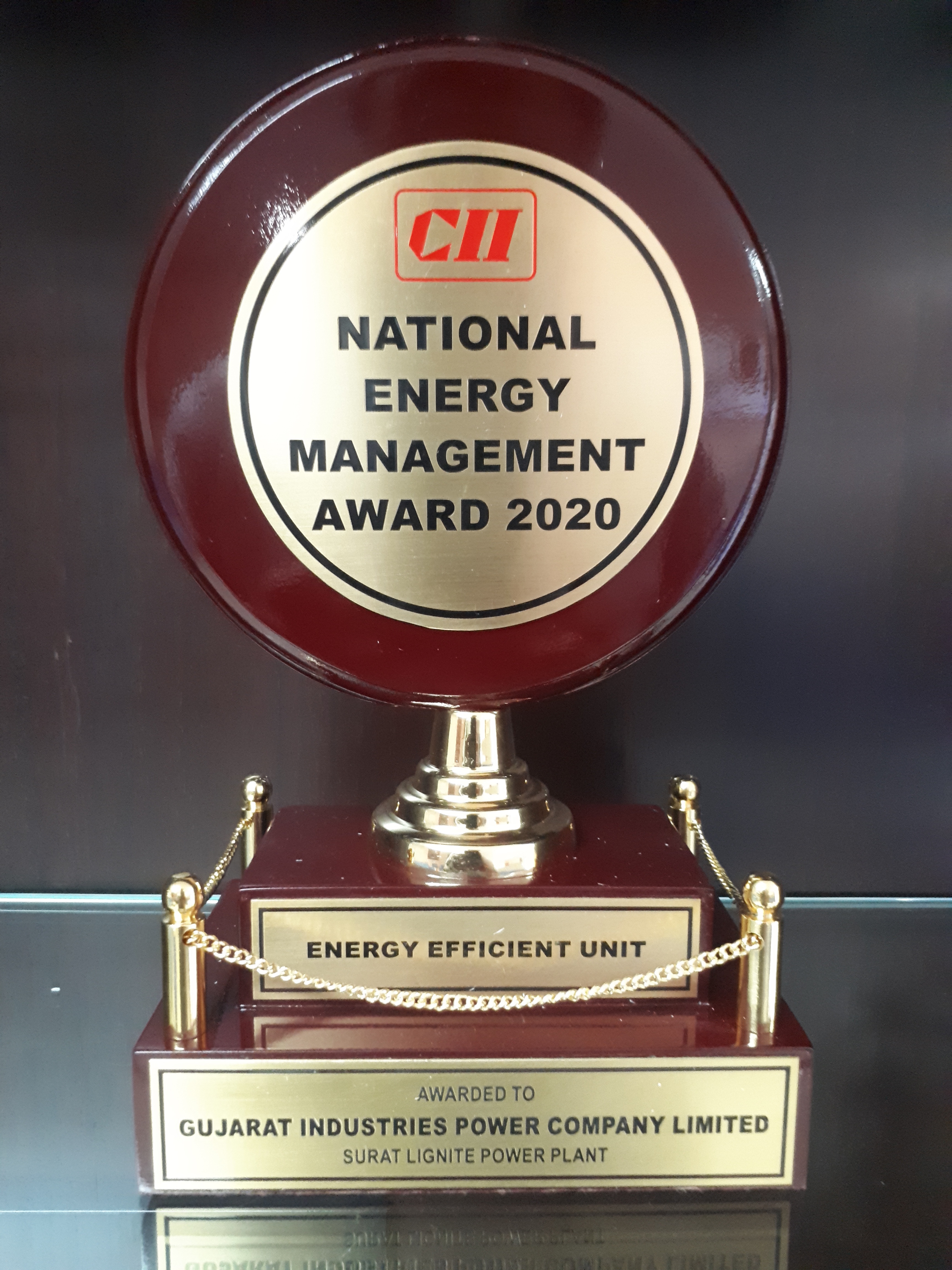 CII National Energy Management Award - 2020